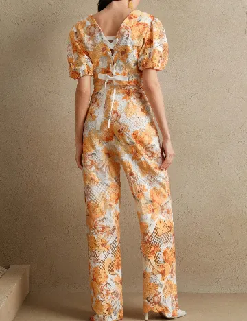 Compleu Anewsta, mix culori