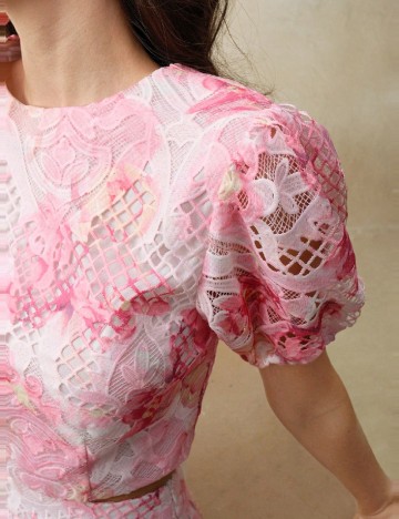 Compleu Anewsta, roz