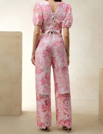 Compleu Anewsta, roz