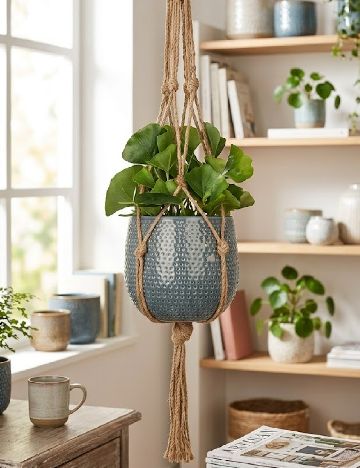 Suport pentru plante Home Accents, maro
