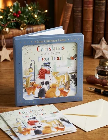 Set felicitari 8 bucati Belgian Greetings, mix culori