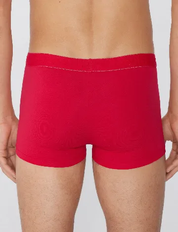 Boxeri Tezenis, rosu