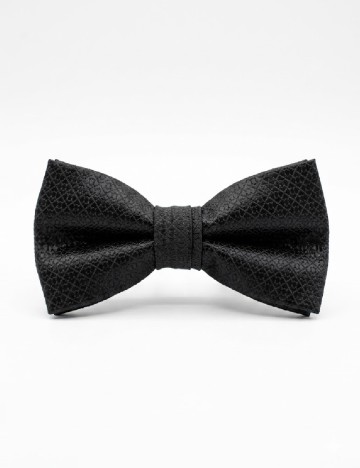 Papion Zara, negru