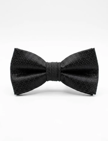 Papion Zara, negru