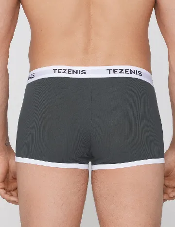 Boxeri Tezenis, gri