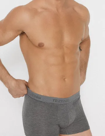 Boxeri Tezenis, gri