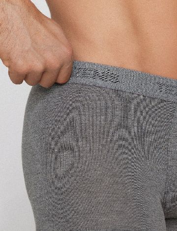 Boxeri Tezenis, gri
