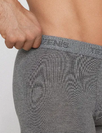Boxeri Tezenis, gri