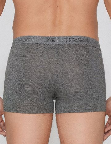 Boxeri Tezenis, gri