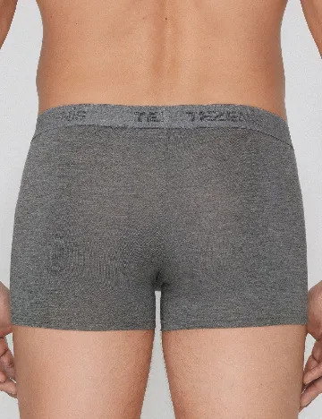 Boxeri Tezenis, gri