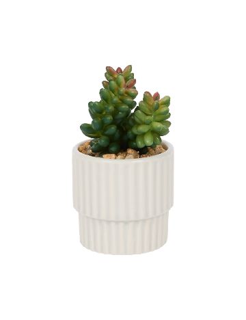 Planta artificiala Home Accents, alb/verde