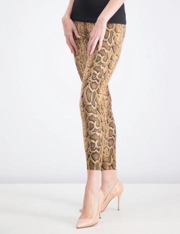 Colanti Bershka, animal print