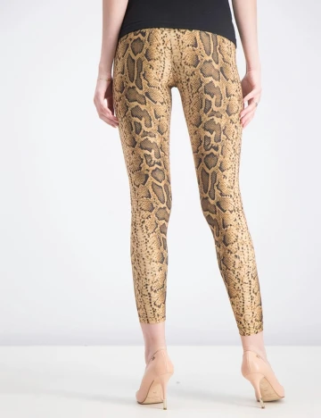 Colanti Bershka, animal print Animal print