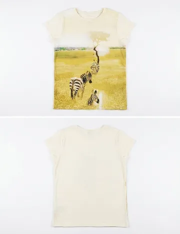 Tricou Zara, mix culori