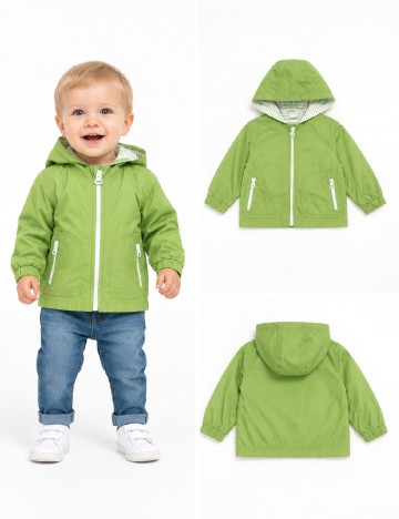 Jacheta Zara, verde