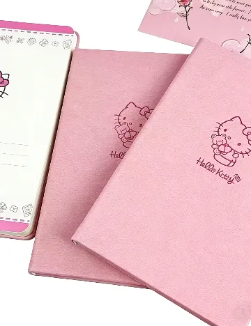 Agenda SHEIN, roz