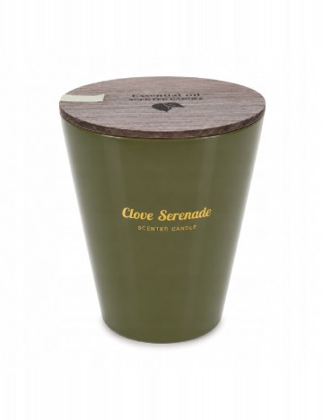 Lumanare parfumata Clove Serenade ACTION, verde inchis