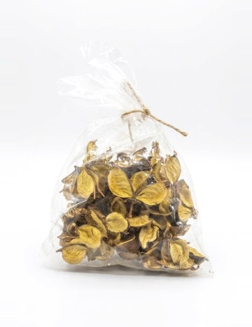 Plante uscate decorative Home Accents, mix culori