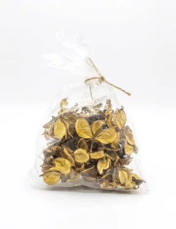 Plante uscate decorative Home Accents, mix culori
