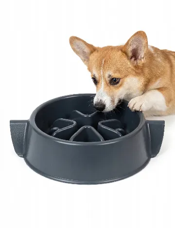 Bol de mancare lenta pentru animale  ACTION, gri