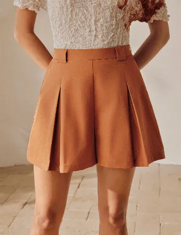 Pantaloni scurti Anewsta, maro