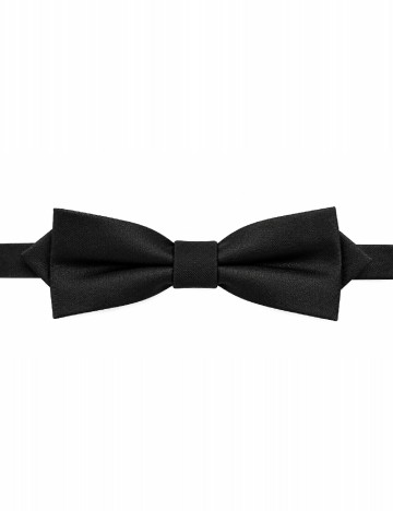 Papion Mango, negru