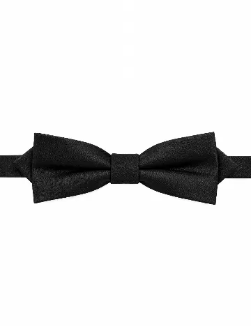 Papion Mango, negru