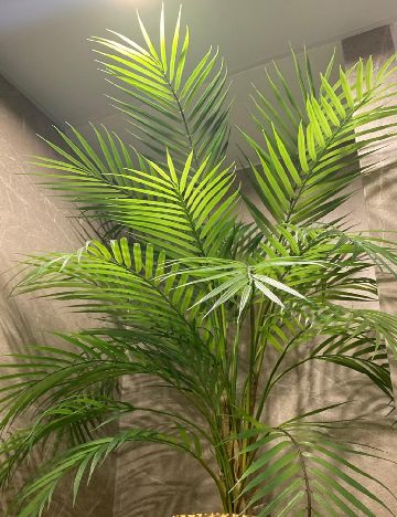Planta artificiala SHEIN, verde